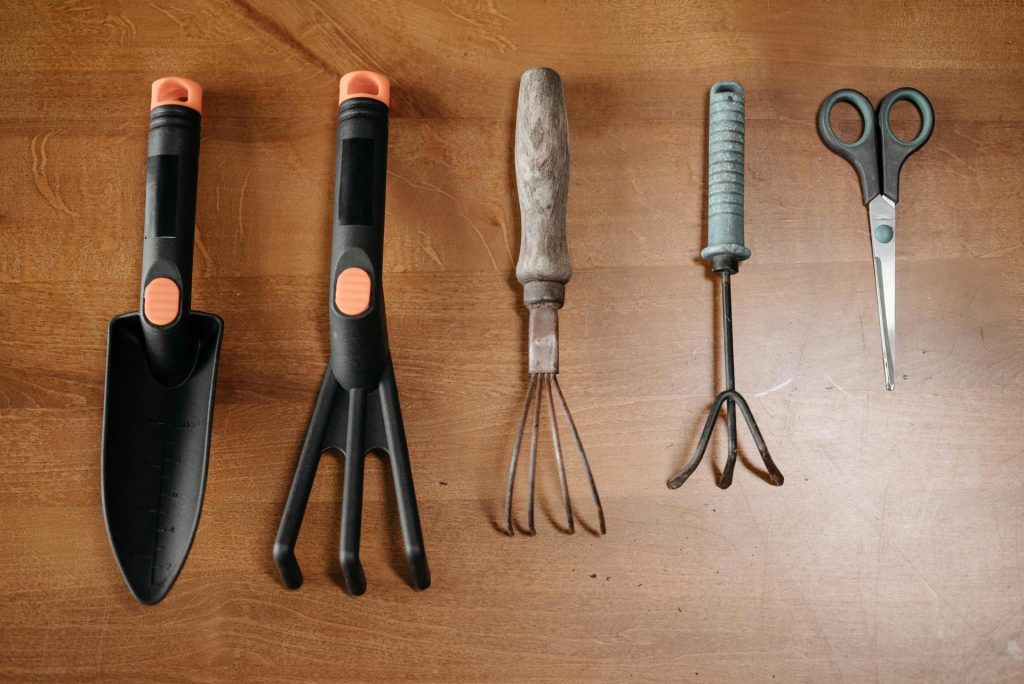 A collection of garden tools arranged on a wooden surface for easy plant care.